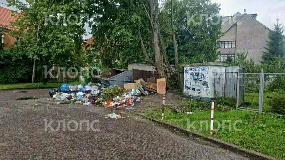 На дорогу выполз матрас: 5 мест в Калининграде, которым срочно требуется уборка (фото)  - Новости Калининграда | Фото: Лилия и другая местная жительница