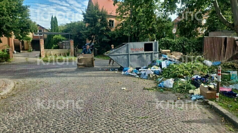 На дорогу выполз матрас: 5 мест в Калининграде, которым срочно требуется уборка (фото)  - Новости Калининграда | Фото: Лилия и другая местная жительница
