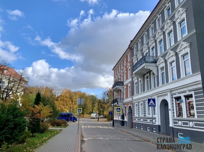 День города: на выходных в Зеленоградске, Черняховске и Багратионовске пройдут праздники (программа) | Фото: Оксана Сазонова