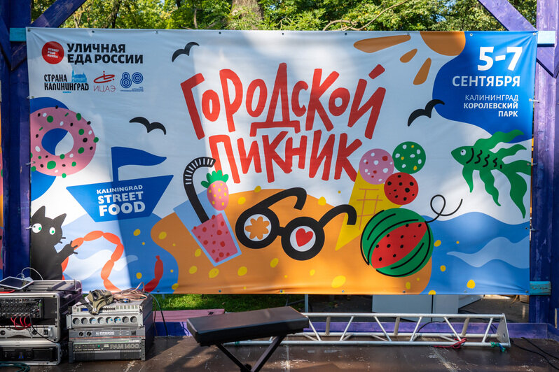 Пироги и жареный сыр: в Калининграде выбрали лучшее уличное блюдо страны