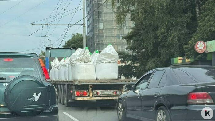 На Киевской довели до истерики водителей, а на другом конце Калининграда — пешеходов - Новости Калининграда | Фото читателя