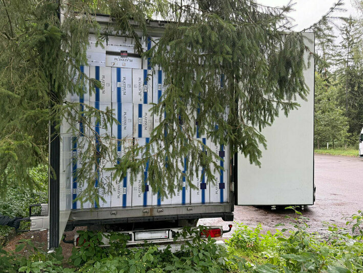 Стрельба по окнам «а-ля 90-е» и смертельное ДТП на Советском проспекте: 11 событий, которые обсуждали в выходные   - Новости Калининграда | Фото: Криминальная служба таможни Литвы