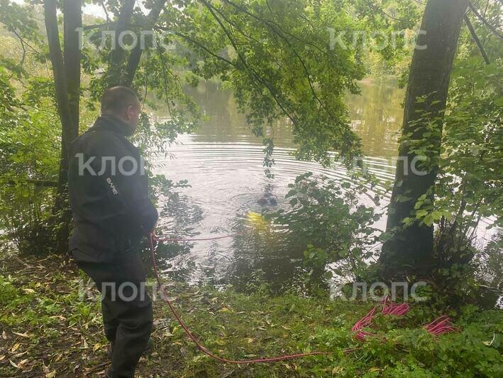 В Южном парке спасатели помогают СК в поисках улик | Фото: очевидец 