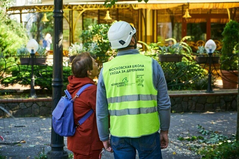 В Светлогорске прошёл мастер-класс по обрезке деревьев   - Новости Калининграда | Фото: телеграм-канал Владимира Бондаренко