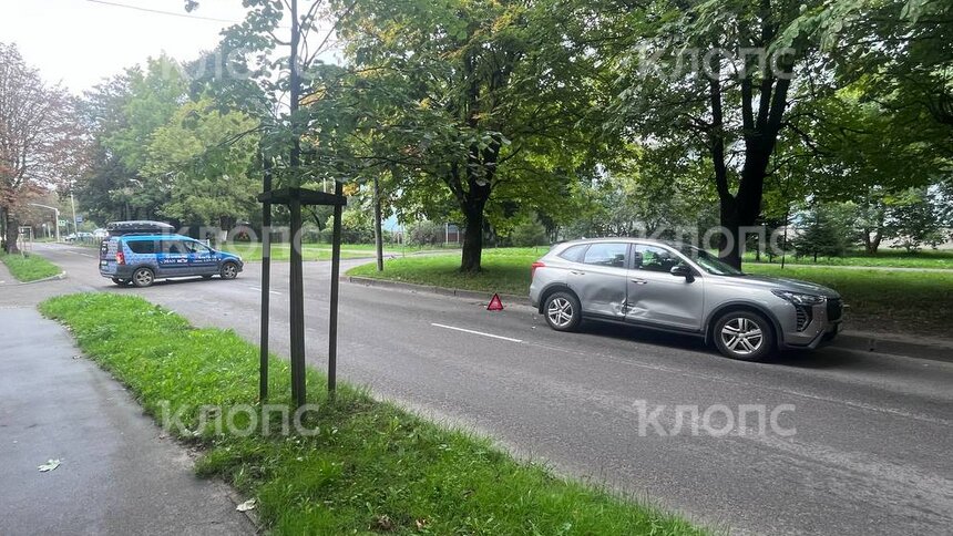 На Нарвской столкнулись две легковушки, авария мешает проехать автобусам №4 и 23  - Новости Калининграда | Фото: «Клопс»