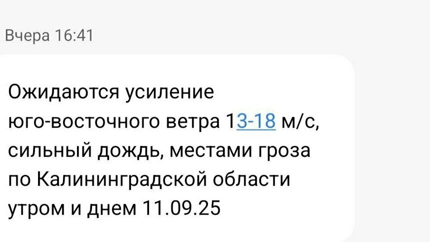 В Калининграде и Гурьевске не стали закрывать парки, несмотря на предупреждение МЧС об усилении ветра  - Новости Калининграда | Фото: «Клопс»