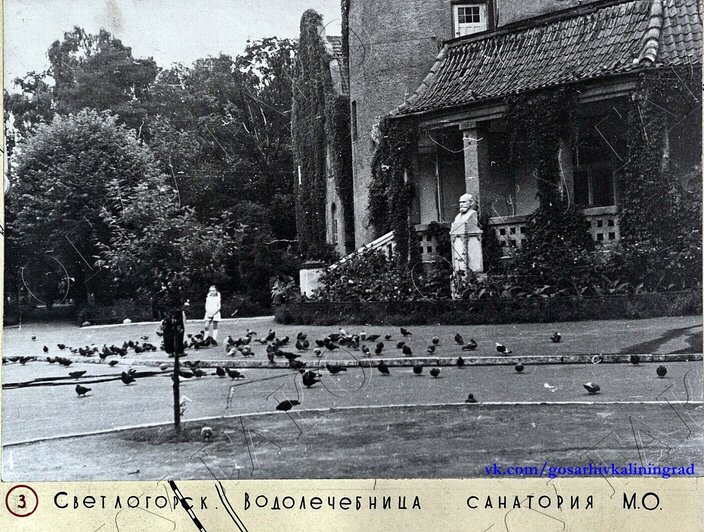 В Госархиве показали, как выглядели улицы Светлогорска в середине 60-х (фото)  - Новости Калининграда | Фото: государственный архив Калининградской области
