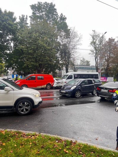 В полиции рассказали о пострадавших в ДТП на Невского, после которого полуголый водитель устроил истерику - Новости Калининграда | прокуратура Калининградской области