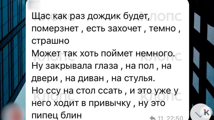 На фото: скриншот с объяснениями хозяйки в общедомовом чате | Фото: «Клопс»