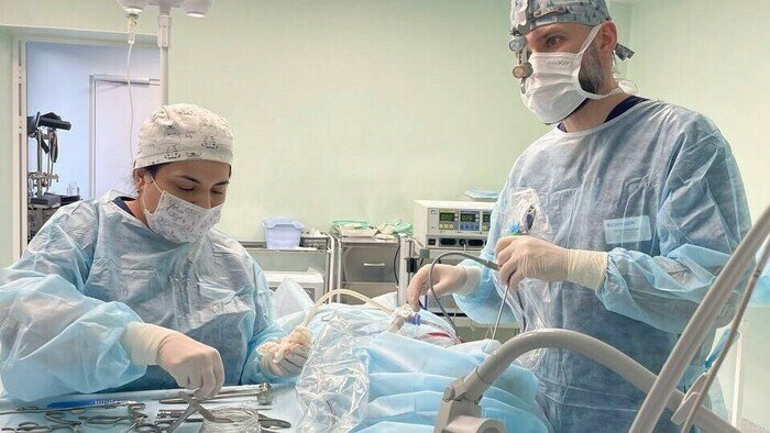 С заботой о самом важном: врач клиники «СитиДок» рассказала о лор-заболеваниях детей - Новости Калининграда