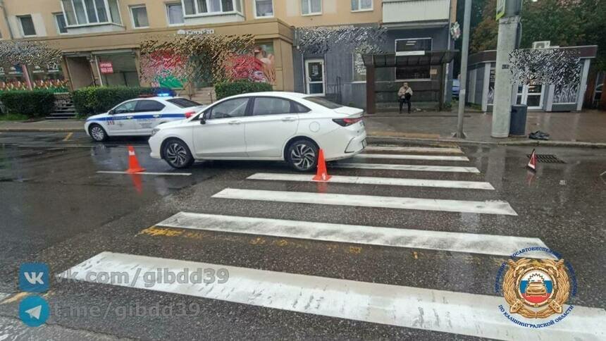На Советском проспекте сбили человека на пешеходном переходе   - Новости Калининграда | Фото: Госавтоинспекция Калининградской области