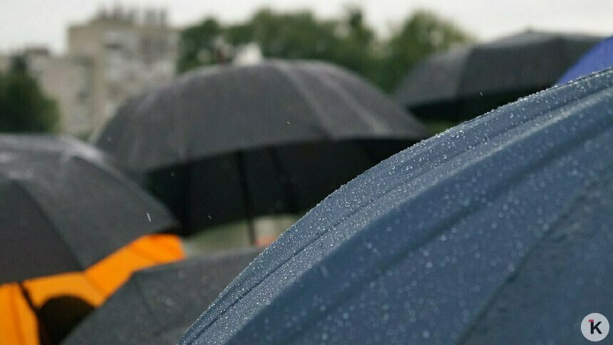 Готовим зонты: погода в Калининграде и области в воскресенье, 14 сентября   - Новости Калининграда | Фото: архив «Клопс»