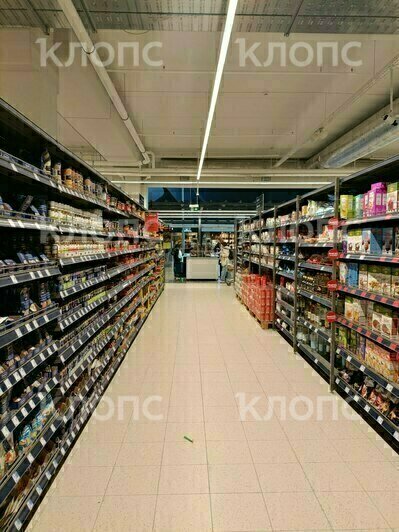 Десяток яиц — 200 рублей, бутылка масла — 300: сколько стоят продукты в Литве  - Новости Калининграда | Фото: «Клопс»