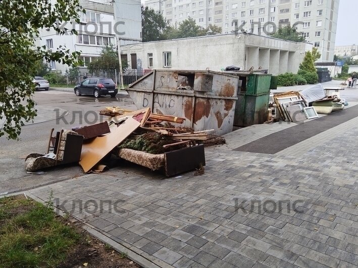 «Окна открыть невозможно, у детей рвотный рефлекс»: каким улицам Калининграда срочно требуется уборка (фото, видео)   - Новости Калининграда | Фото: Денис Горшков