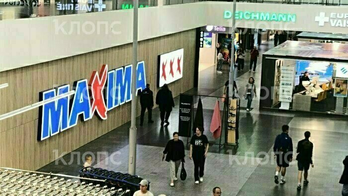 Десяток яиц — 200 рублей, бутылка масла — 300: сколько стоят продукты в Литве  - Новости Калининграда