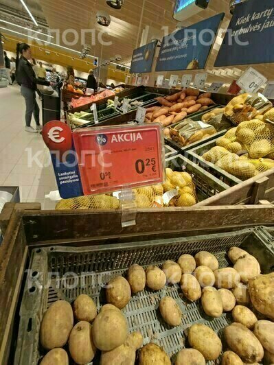 Десяток яиц — 200 рублей, бутылка масла — 300: сколько стоят продукты в Литве  - Новости Калининграда | Фото: «Клопс»