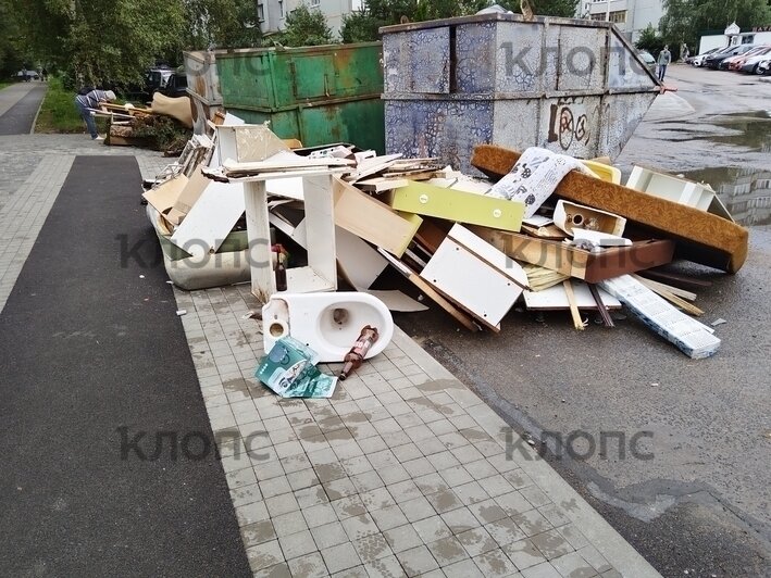 «Окна открыть невозможно, у детей рвотный рефлекс»: каким улицам Калининграда срочно требуется уборка (фото, видео)   - Новости Калининграда | Фото: Денис Горшков