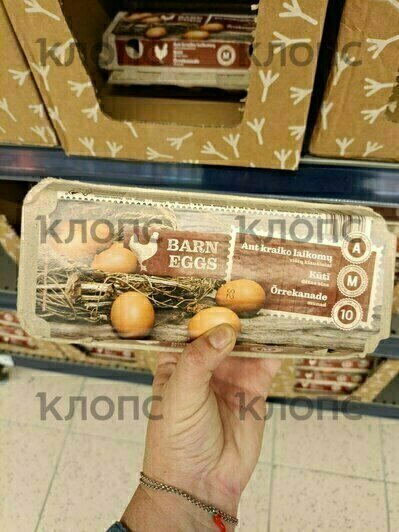 Десяток яиц — 200 рублей, бутылка масла — 300: сколько стоят продукты в Литве  - Новости Калининграда | Фото: «Клопс»