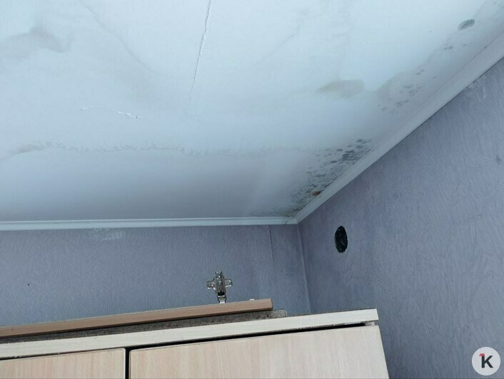 За последние две недели ситуация в квартире стала получше, но с потолка всё ещё течёт | Фото: архив героя материала