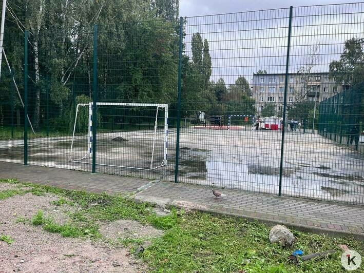 Есть даже подстаканник: в Калининграде оборудование на спортивной площадке привезли из Чувашии (фото)   - Новости Калининграда | Фото: «Клопс»