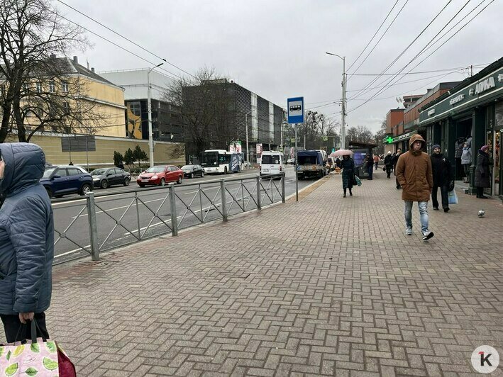 «Сажусь в автобус между стеллажами с рыбой и хлебом»: фургоны у Центрального рынка годами нагло теснят пассажиров (фото) - Новости Калининграда | Фото: «Клопс»