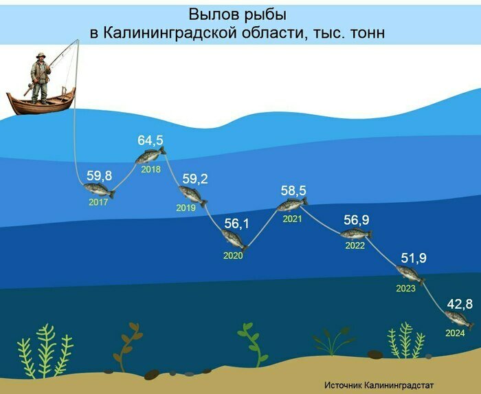 Рыбная отрасль в Калининградской области: меньше улов, выше цены и спрос | Инфографика: Артем Пахоменко