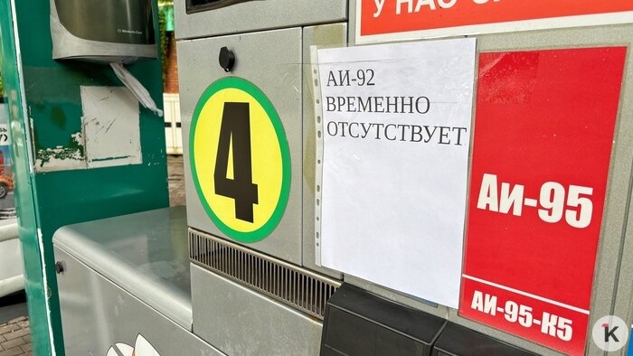 Бензиновый кризис, преступная концессия и изгнание зеленоградских котов: события недели, которые обсуждали в Калининграде  - Новости Калининграда | Фото: Александр Подгорчук / Архив «Клопс»