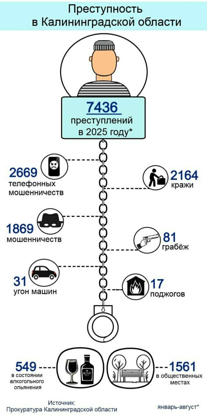 Воруют меньше, хулиганят больше: как изменилась преступность в Калининградской области | Инфографика: Артем Пахоменко