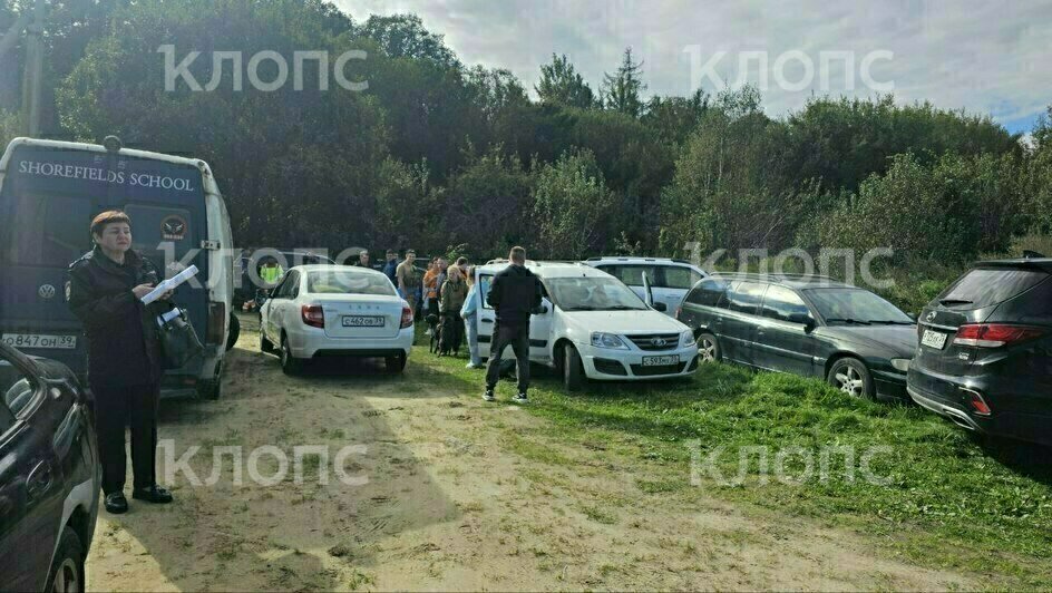 В поисках мальчика участвовали десятки людей | Фото: очевидец