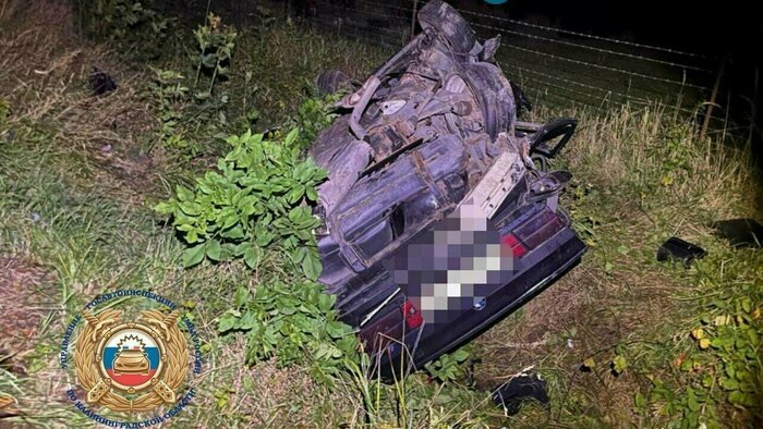 Потасовка у Южного рынка, беспредел самокатчиков и лось из Польши: 11 событий, которые обсуждали в выходные    - Новости Калининграда | Фото: Госавтоинспекция Калининградской области