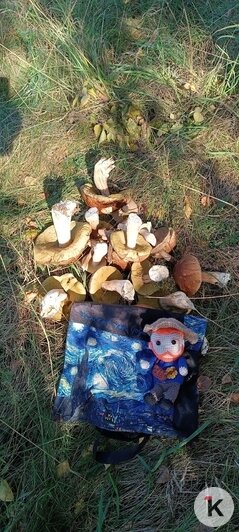 За яблочком за 10 километров: калининградские любители путешествий пешком сходили в сад в Правдинском районе (фоторепортаж)   - Новости Калининграда | Фото: Дмитрий Керус