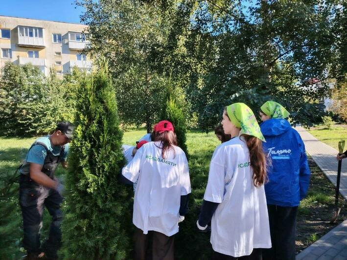 На улицы вышли неравнодушные жители: в Пионерском высадили «Сад памяти» в честь героев Великой Отечественной войны - Новости Калининграда | Фото: минприроды