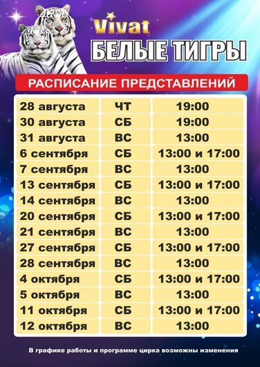 Цирк Vivat продлевает гастроли: главное шоу осени «Белые тигры» - Новости Калининграда