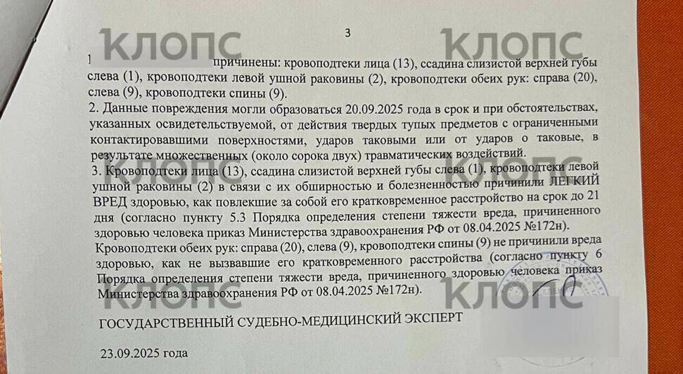 Заключение экспертов о травмах, которые получила женщина во время недавнего избиения в машине | Фото: предоставила Мария