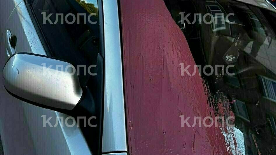 Облили едкой краской, прокололи колёса и разбили окно: жительнице Черняховска неизвестные вандалы изуродовали машину (фото, видео)   - Новости Калининграда | Фото: Татьяна