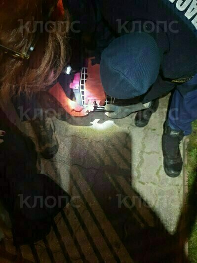 Усатый получил серьёзные травмы | Фото: очевидец