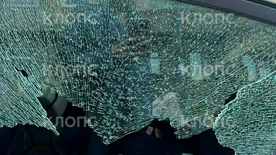 Облили едкой краской, прокололи колёса и разбили окно: жительнице Черняховска неизвестные вандалы изуродовали машину (фото, видео)   - Новости Калининграда | Фото: Татьяна