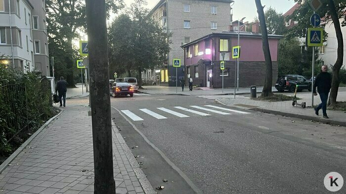 Улицу в центре Калининграда «заселили зебрами», горожане назвали 6 аргументов против (фото) - Новости Калининграда | Фото: «Клопс»