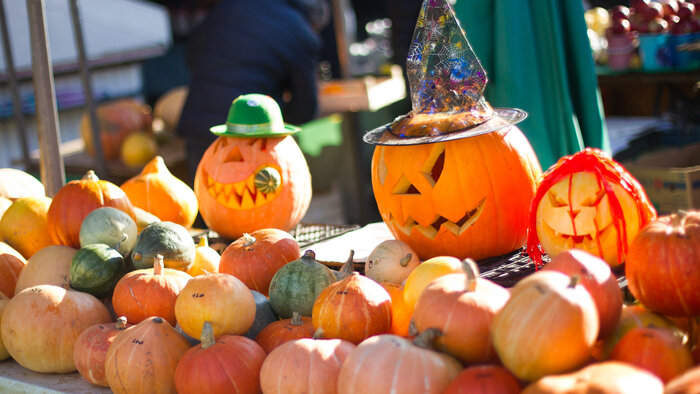 Тыквы, грибы и осенние краски: куда сходить в выходные в Калининградской области, чтобы хорошо провести время и не разориться - Новости Калининграда | Фото: архив «Клопс»