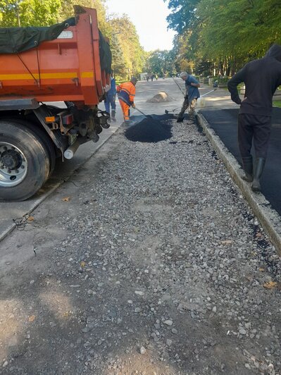 В Южном парке восстановили тротуар, повреждённый при ремонте теплотрассы (фото)  - Новости Калининграда | Фото: Дирекция ландшафтных парков 