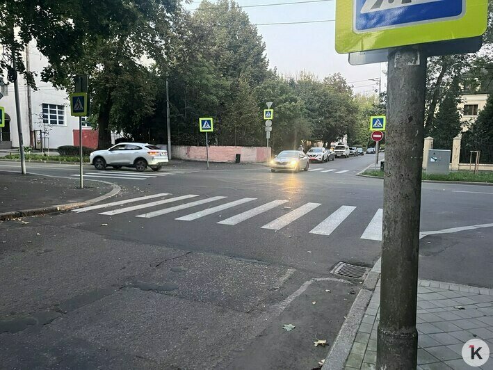 Улицу в центре Калининграда «заселили зебрами», горожане назвали 6 аргументов против (фото) - Новости Калининграда | Фото: «Клопс»