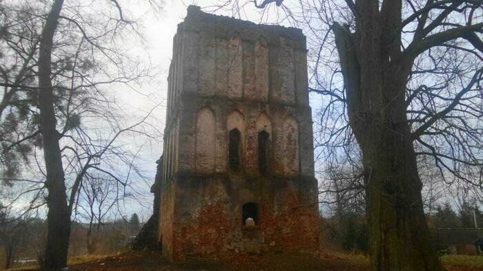 Тыквы, грибы и осенние краски: куда сходить в выходные в Калининградской области, чтобы хорошо провести время и не разориться - Новости Калининграда | Фото: Prussia39.ru