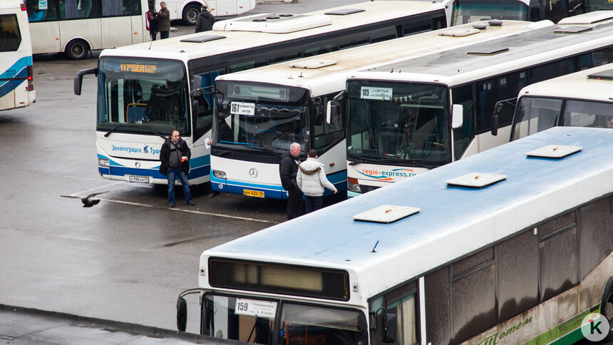 На 30 рублей: в Калининградской области повышается стоимость проезда на автобусах  - Новости Калининграда | Фото: Александр Подгорчук / Архив «Клопс»