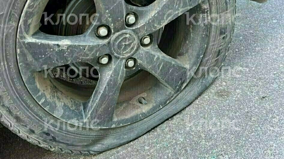 Облили едкой краской, прокололи колёса и разбили окно: жительнице Черняховска неизвестные вандалы изуродовали машину (фото, видео)   - Новости Калининграда | Фото: Татьяна