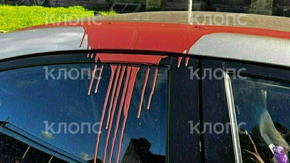 Облили едкой краской, прокололи колёса и разбили окно: жительнице Черняховска неизвестные вандалы изуродовали машину (фото, видео)   - Новости Калининграда | Фото: Татьяна