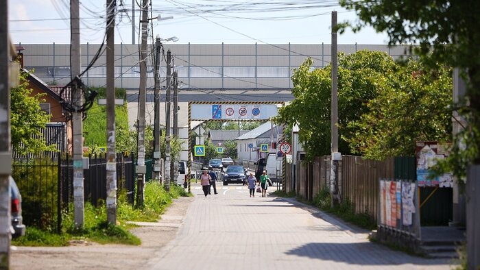 «Какой-то садовый абьюз»: жители СНТ под Калининградом годами страдают от действий председателя и не могут его свергнуть - Новости Калининграда | Фото: архив «Клопс»