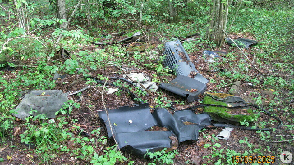 Фотографии сделаны в лесу в Гвардейском районе 15 сентября | Фото: Евгений Волчев