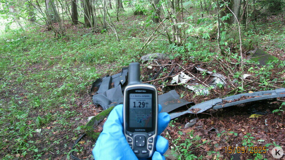 Фотографии сделаны в лесу в Гвардейском районе 15 сентября | Фото: Евгений Волчев