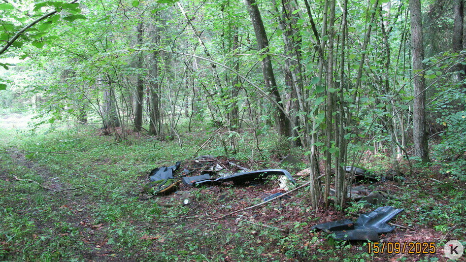 Фотографии сделаны в лесу в Гвардейском районе 15 сентября | Фото: Евгений Волчев