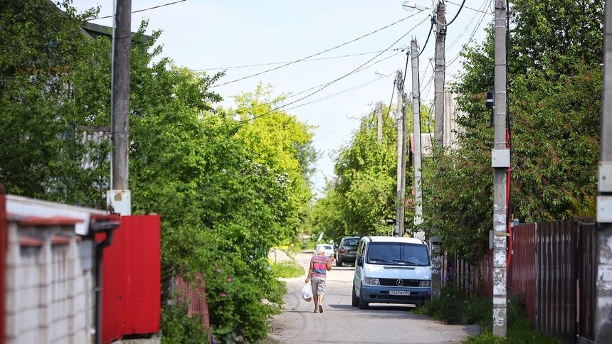 «Какой-то садовый абьюз»: жители СНТ под Калининградом годами страдают от действий председателя и не могут его свергнуть - Новости Калининграда | Фото: архив «Клопс»